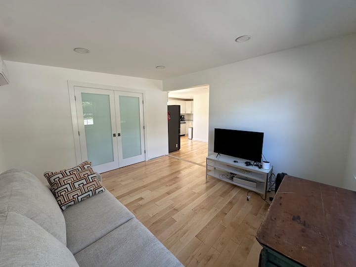 Modern Scandinavian White-birch Retreat - Red Hook, NY