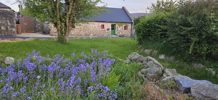 300 Year Old Stone Cottage In The Dublin Mountains - Dublin