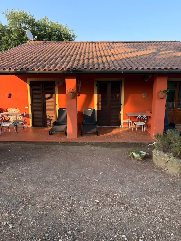 Petit Verdot - Suvereto