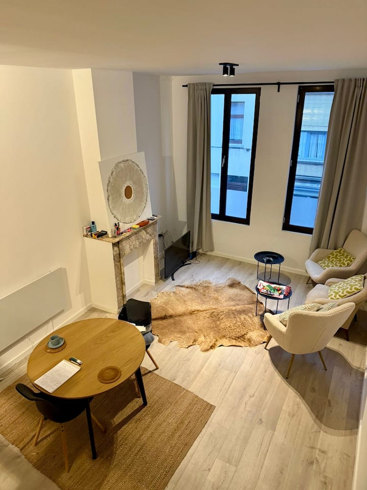 Trendy Zuid, Toplocatie! Zeer Mooi 1slpk App. - Antwerpen