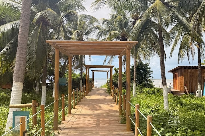 チャランゴ　ボリビア　Gamboa GCH530 Gamboa Oasis Patacho 180m from the beach - Apartments for Rent in