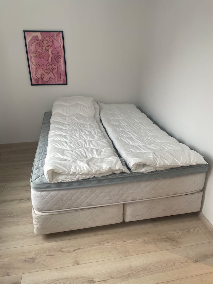 Habitación 2