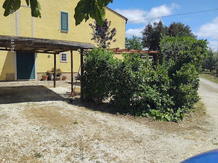 Donatella - Ca 510 Donatella - Castagneto Carducci