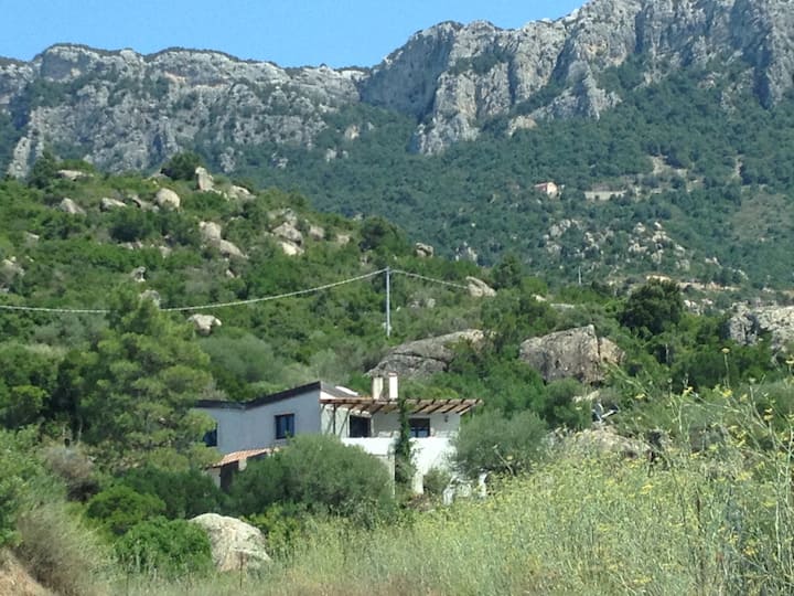 Holiday Flat For Nature Lovers - Dorgali