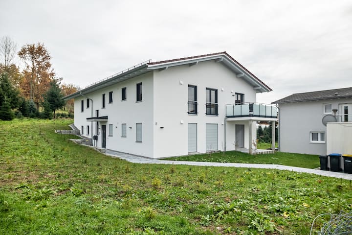 Tanne - Ravensburg