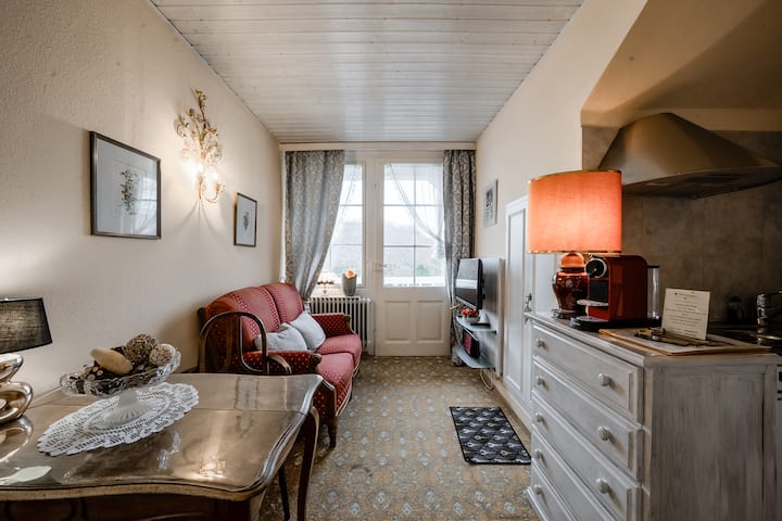 Two Charming Apts For 4, Eco-friendly Villa Hedwig - Badenweiler