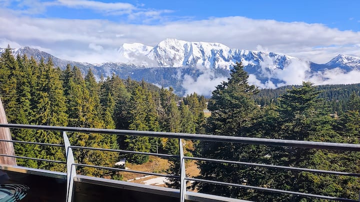 Appartement Chamrousse 7p, Pieds Des Pistes - Chamrousse