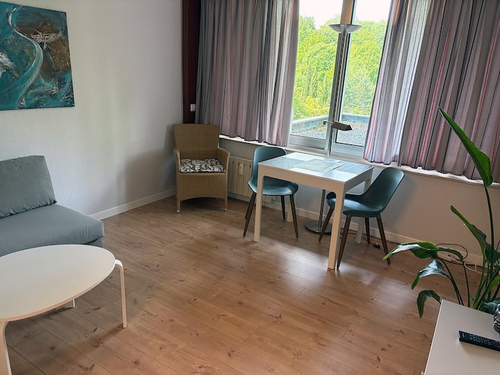 Appartement-supérieure-salle De Bain Privée-mit-kü - Bad Iburg