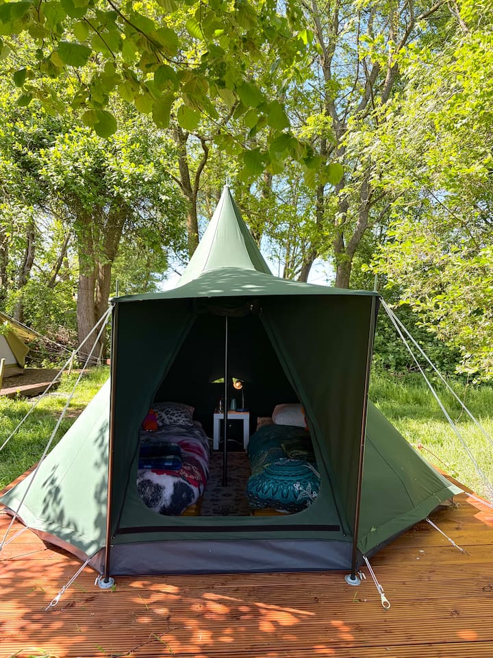 Oryx: Travelers Tent Under The Stars (No Car). - Groningen, Niederlande