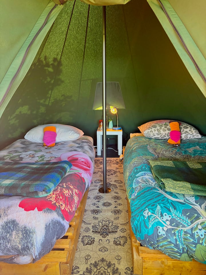 Oryx: Travelers Tent Under The Stars (No Car). - 그로닝겐