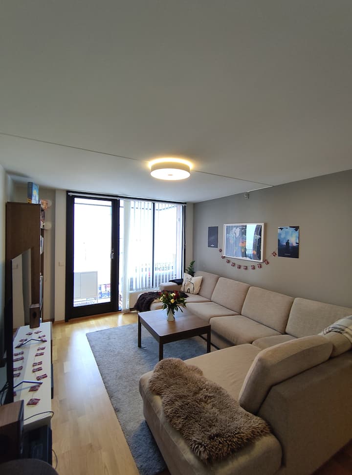 Hel Leilighet Midt I Sentrum! - Oslo