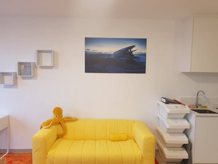 Het Gezelligste Appartement Van Oostende - Ostende