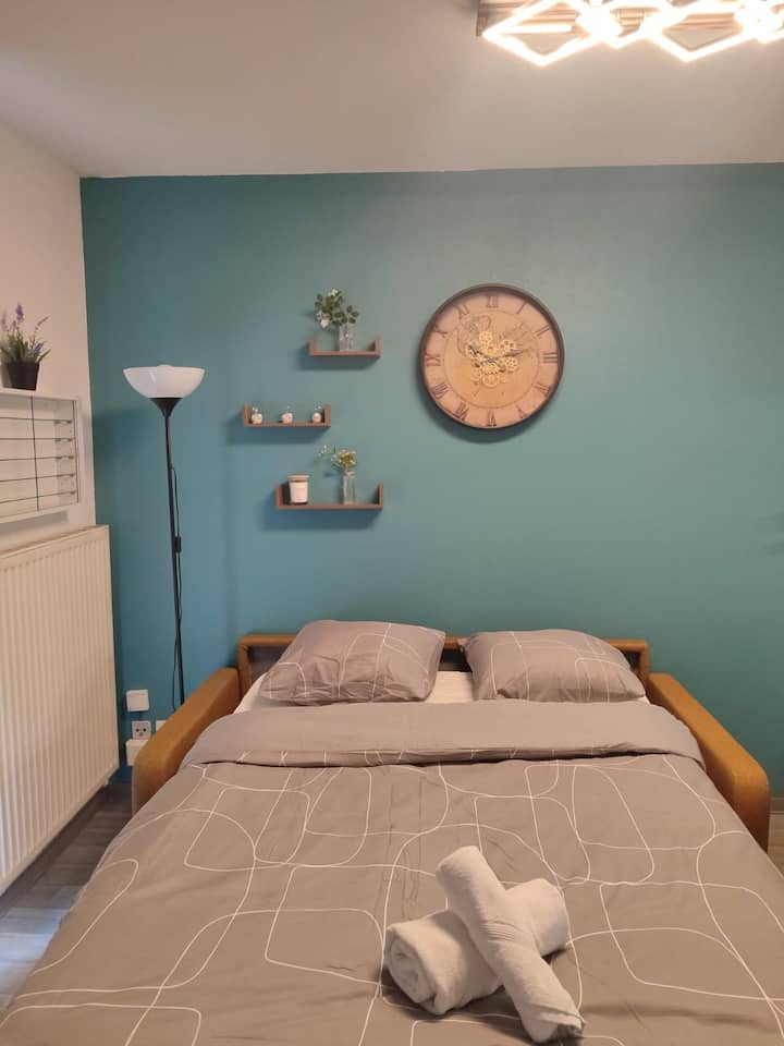 Proche Centre/4 Personnes/ Parking Privé Dans Cour - Turckheim
