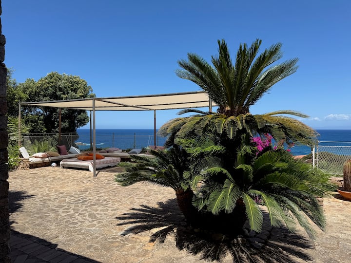 Villa Le Palme - Portobello