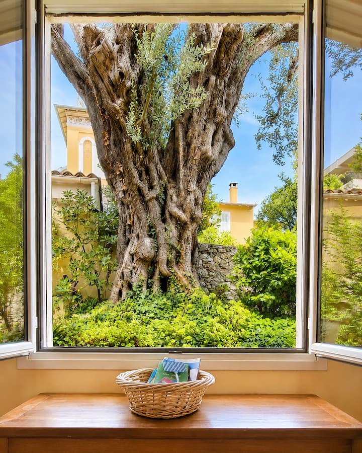 ÉCrin Provençal - Grand Jardin Fleuri à Beaulieu - Beaulieu-sur-Mer