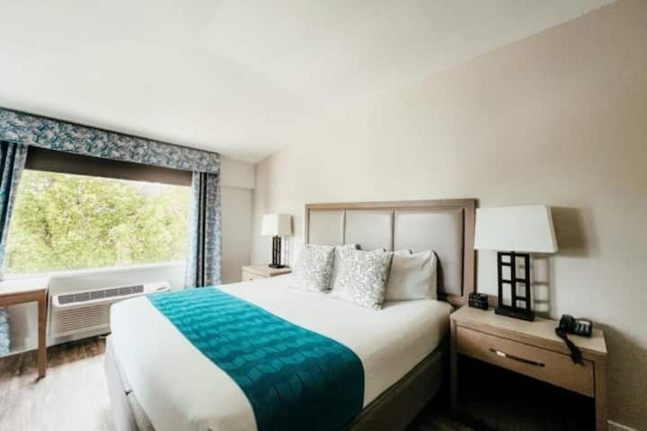 Beachfront Stay With Pool Near Reef Tours - Key Largo