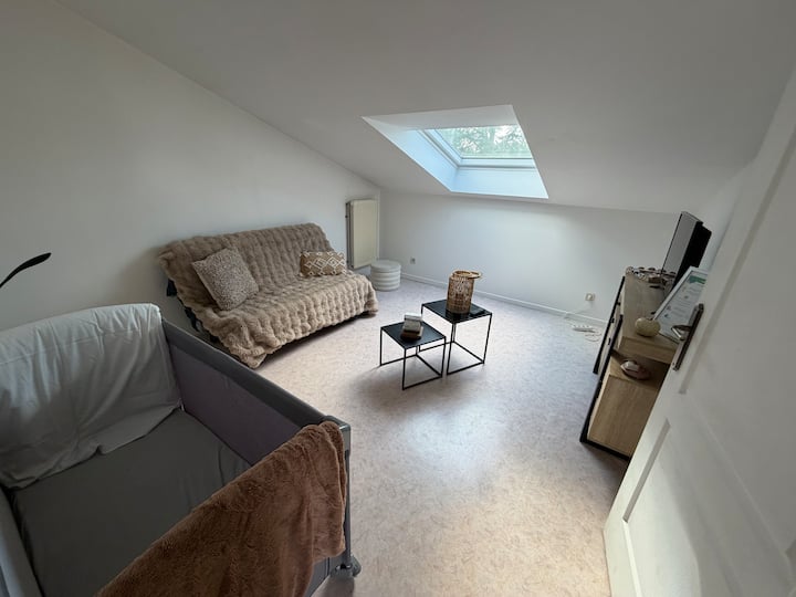 Appartement Très Lumineux - Béthune