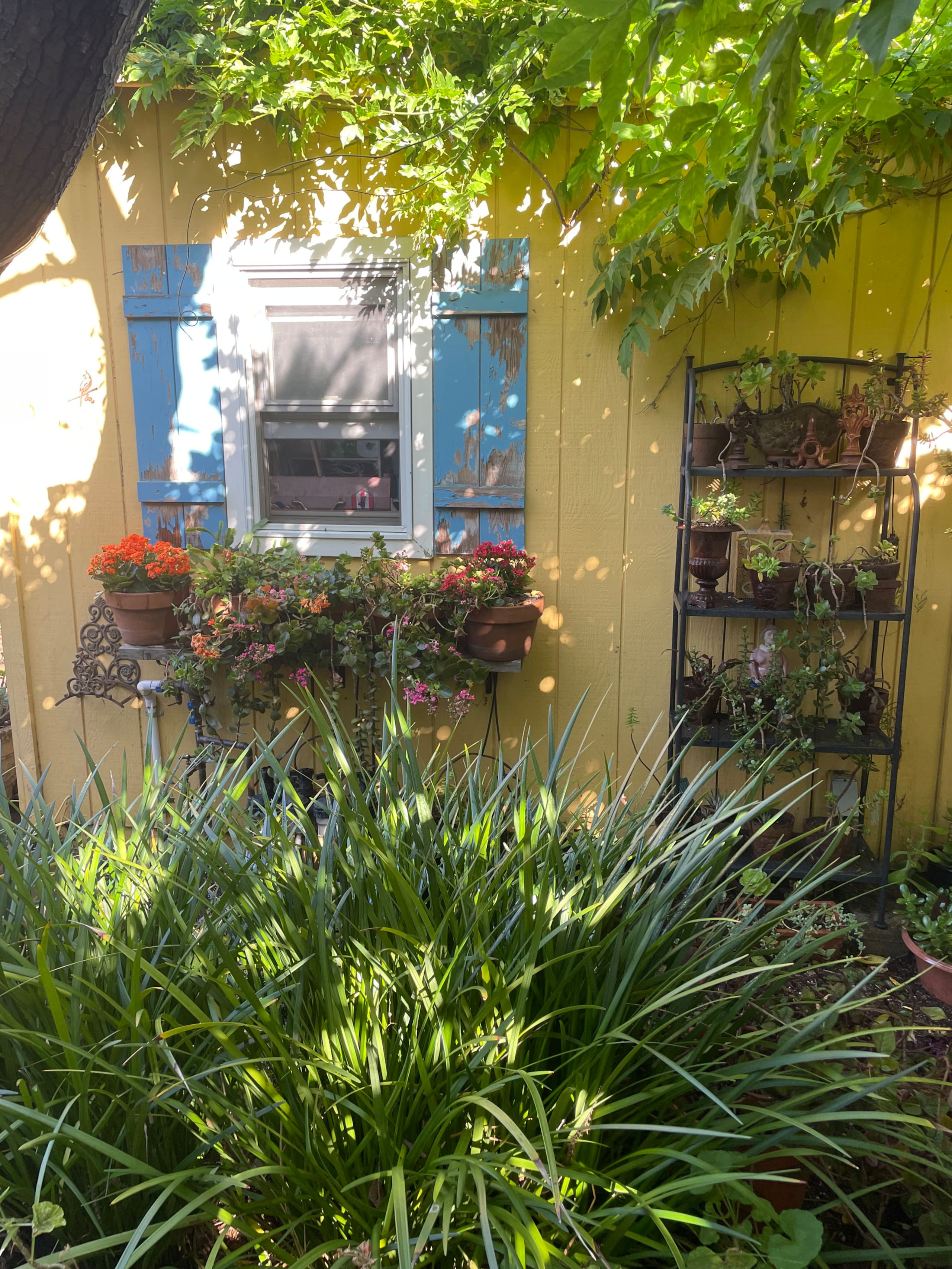 Mediterranean Home Near Stanford, Private Yard - Photo 29