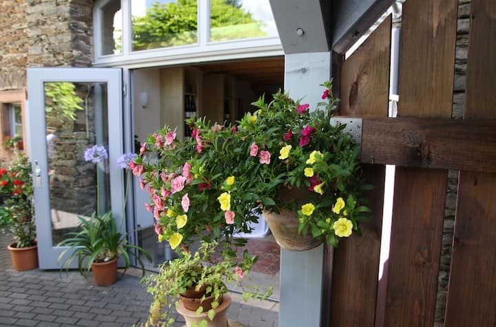Apartment Rivaner (Ferienweinhaus Koch) - Trittenheim
