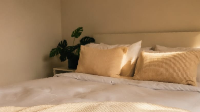 Sunny Cozy