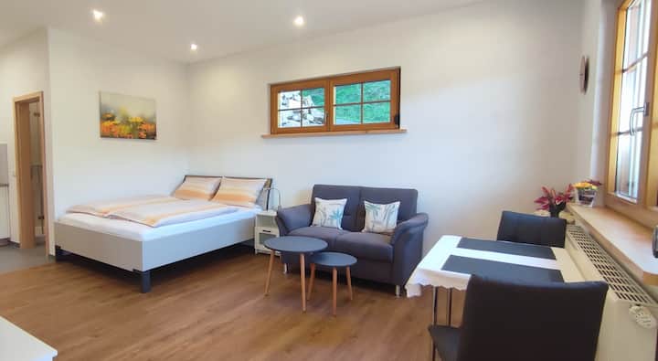 Ferienwohnung Wiesenpanorama - Münstertal/Schwarzwald