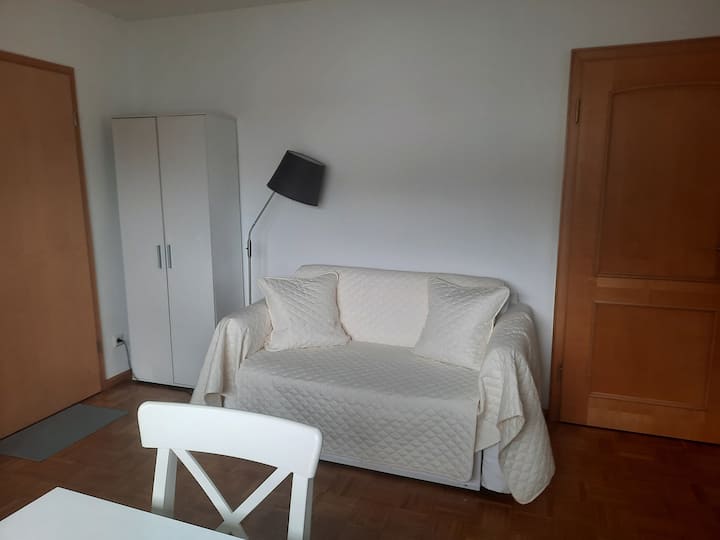 1 Zimmer Wohnung - Elzach