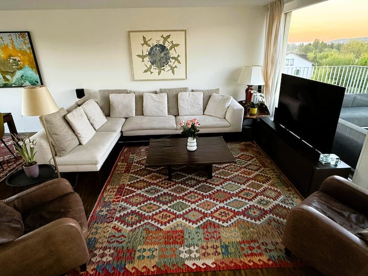 Beautiful Penthouse With Terrace & Private Lift! - Canton of Zürich