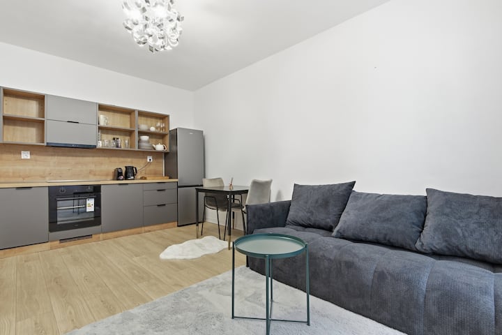 New 1br Apt Steps To Nivy And Bus Station - Bratislava