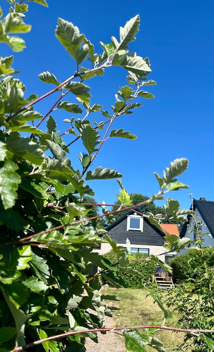 Lilla Brygghuset - Graen