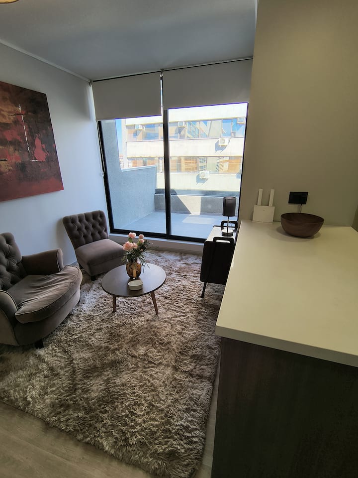 Departamento Providencia Confortable Y Equipado - Cordillera