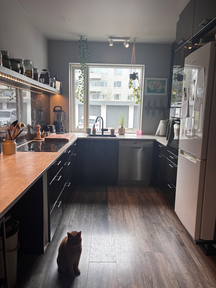 Apartment In Reykjavík - Reykjavik