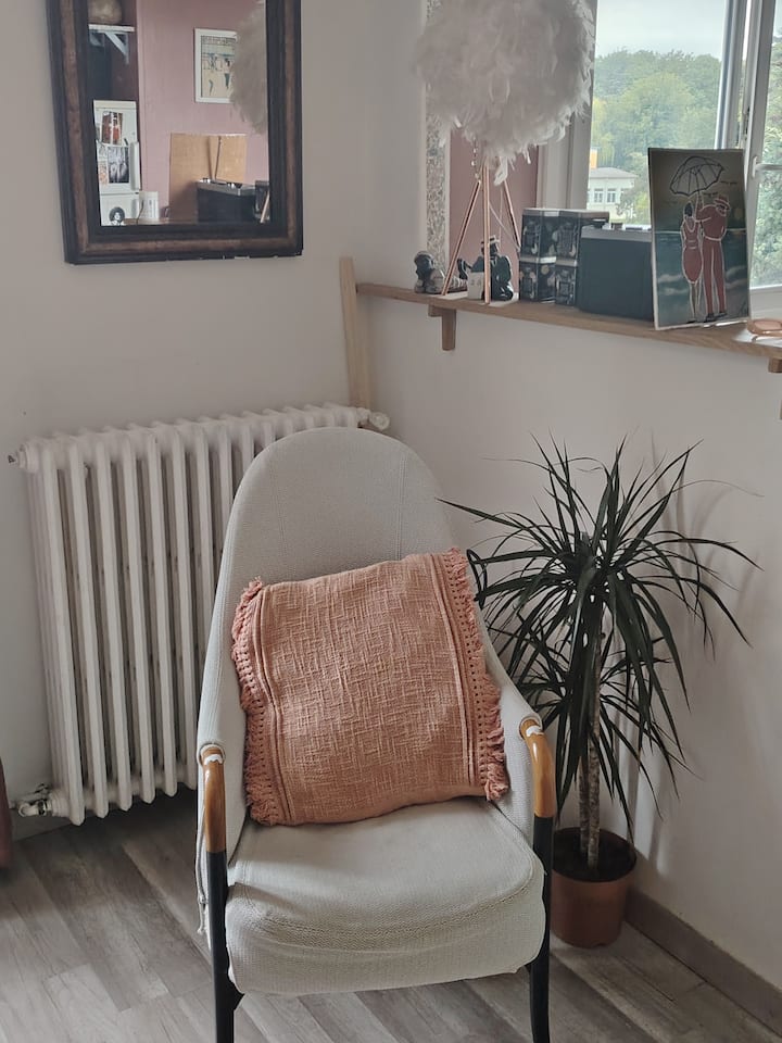 Grande Chambre Double Lumineuse. Co-living Vintage - Saint-Maurice