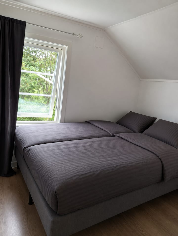 Habitación 5