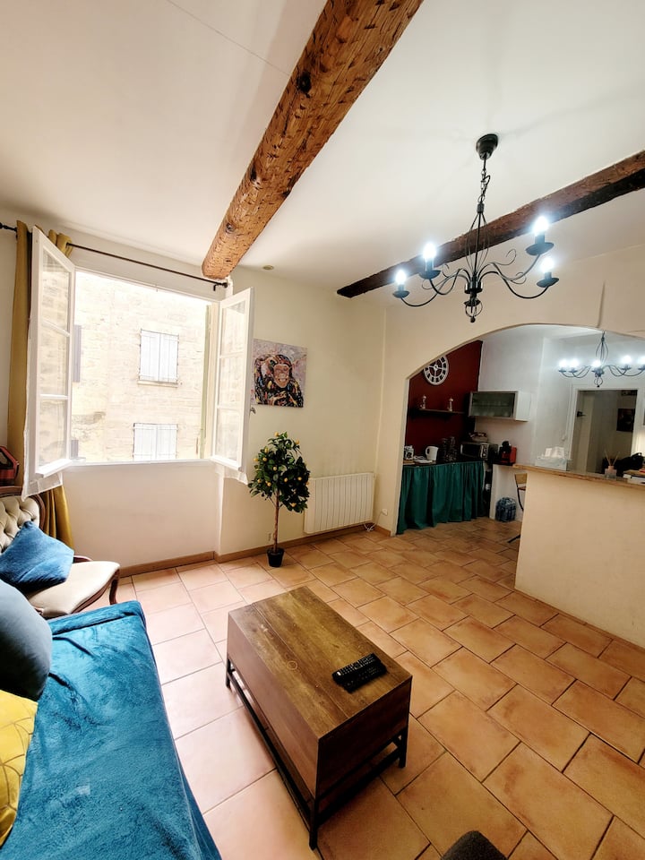 Appartement Dans Le Coeur Historique De Pézenas - Pézenas