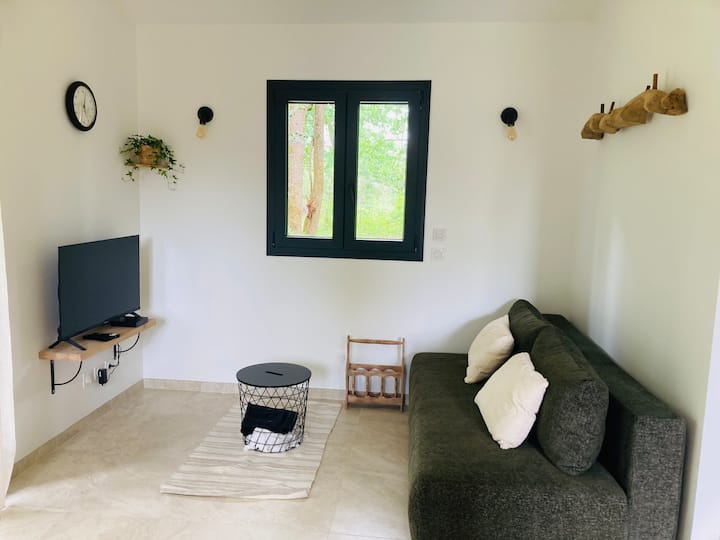 Chalet En Bois Climatisé En Lisière De Forêt - Landes
