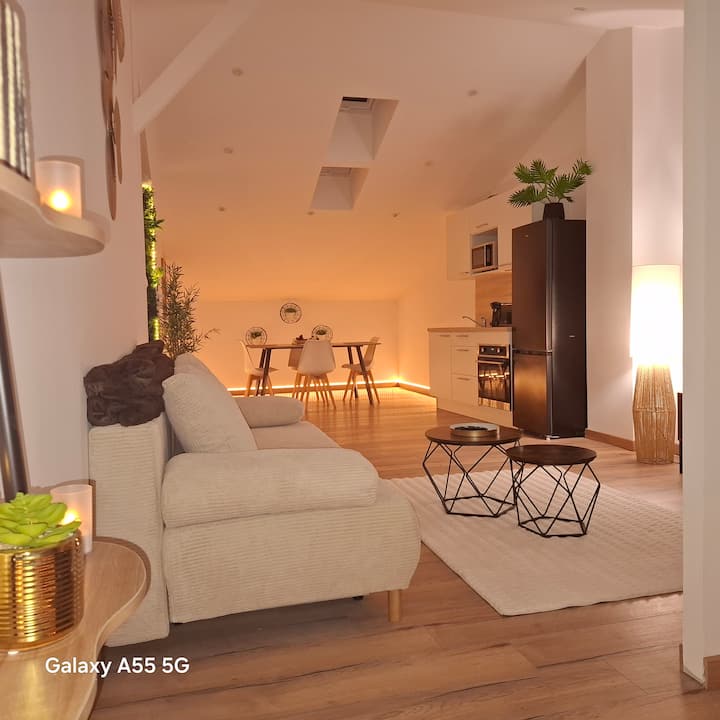 Suite Canopée & Spa - Albi