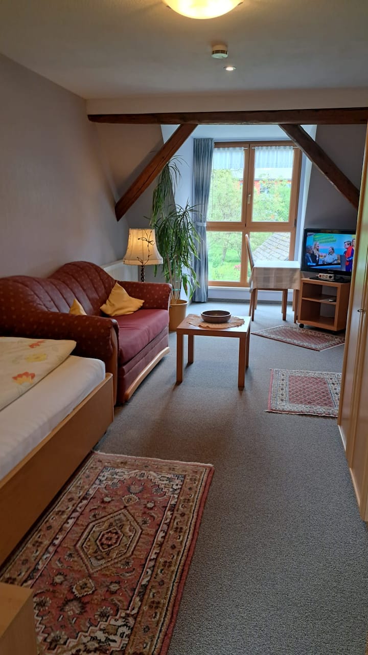 Helles, Geräumiges Ez Studio, Blick In Den Garten - Badenweiler