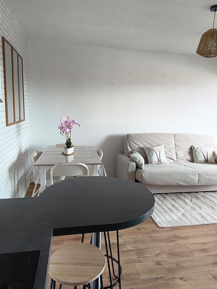 Appartement Climatisé 4 Pers Rés Cap Coudalère - Le Barcarès