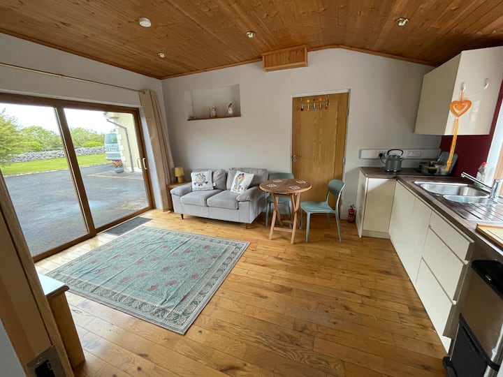 Flat In Galway - Galway