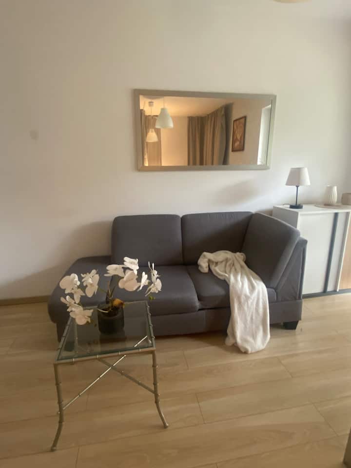 Apartament Z Baldachimem - Poznań
