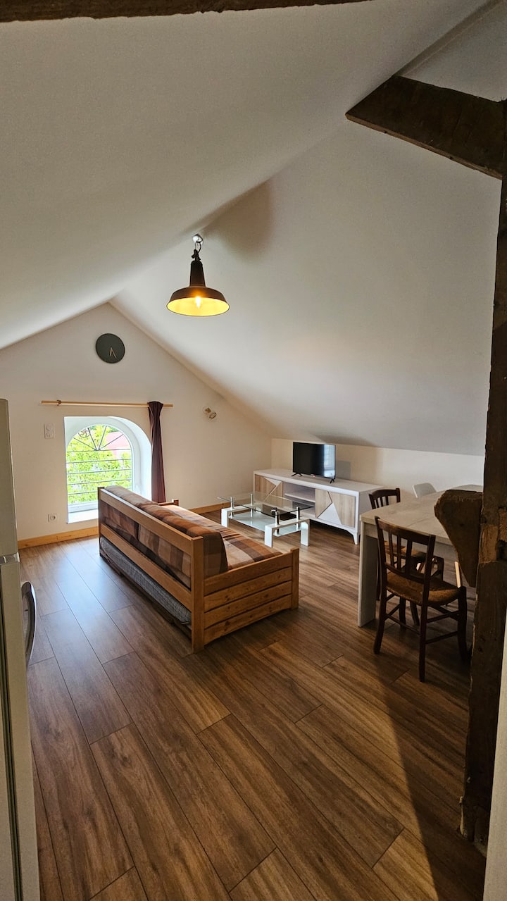 Appartement Cosy - Bussang