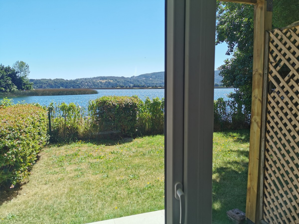 A serene view of the river Valdivia is framed by the window, showcasing the vibrant blue water and lush greenery. The grassy area outside is well-maintained, and trees line the horizon, creating a peaceful natural setting.