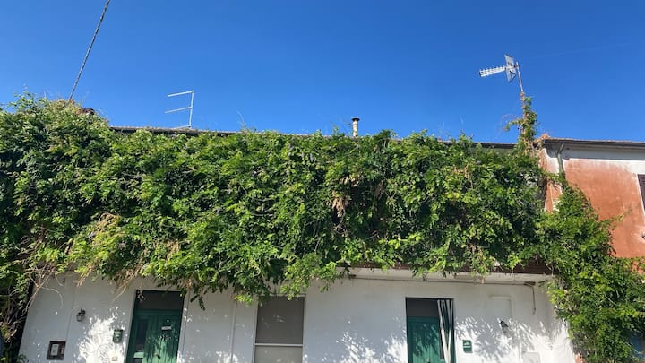La Casa Di Fedio E Renza In Maremma 10min Dal Mare - 카스틸리오네델라페스카이아