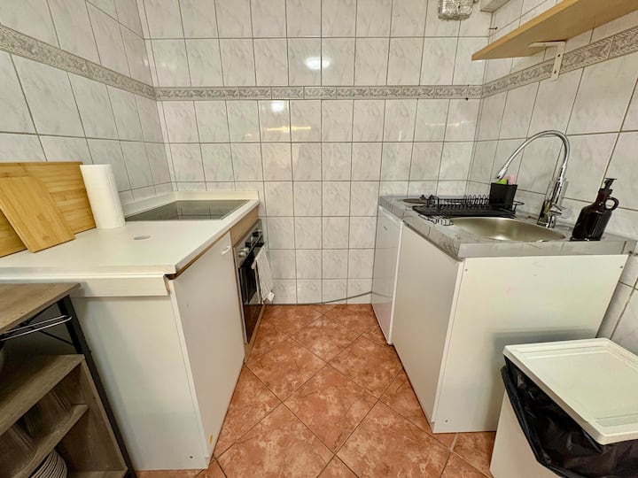 Apartment Für Monteure / Handwerker Mit Parkplatz - Frankenthal (Pfalz)