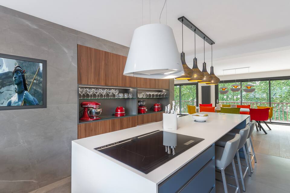 The Collector Albigny · Luxe Lake Residence — photo 4