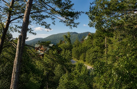 Bears Eye View cabin in Sevierville - Photo 5