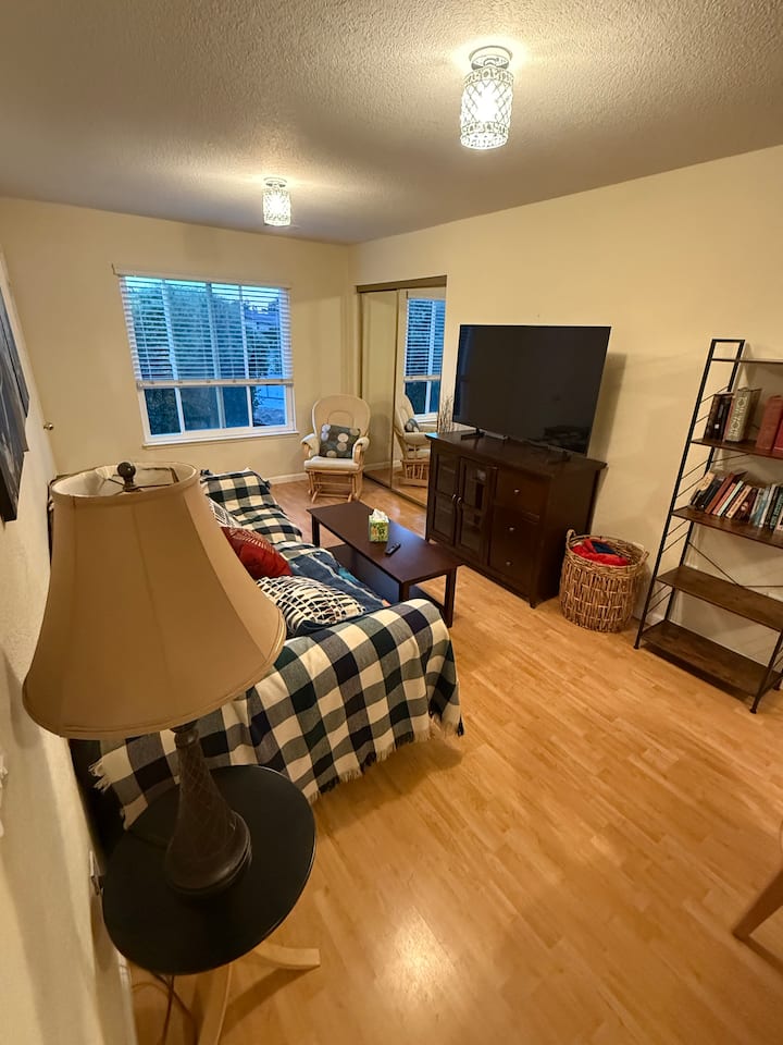 Comfortable 2 Bedroom Adu Near Downtown - San José
