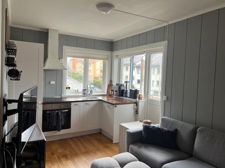 Hjemmekoselig Leilighet Med Solside. Ulriken Nært. - Bergen