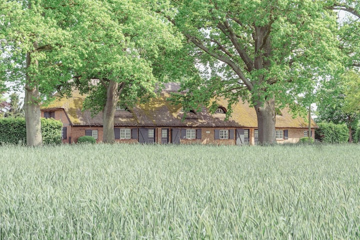 Blücherkate Ii (313728) - Gingst