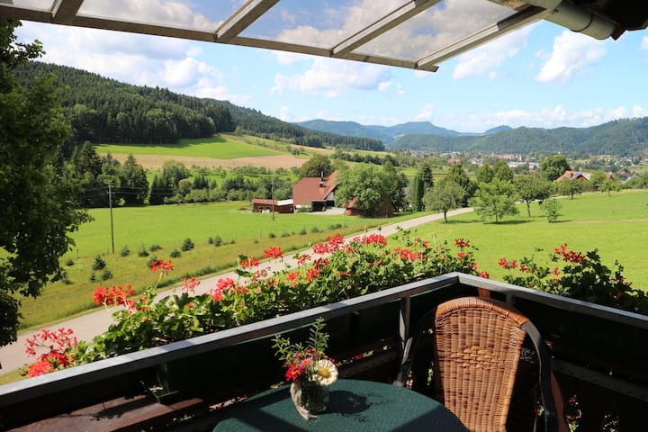 Apartment Ahorn Im Schwarzwald - Zell am Harmersbach